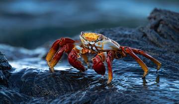 Galapagos Outdoors 9 Days Tour