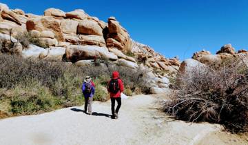 Joshua Tree National Park Rundreise