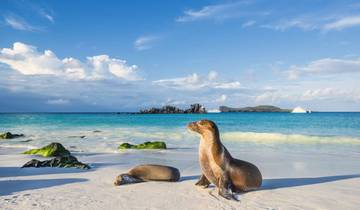 Affordable Galapagos 8 Days Tour