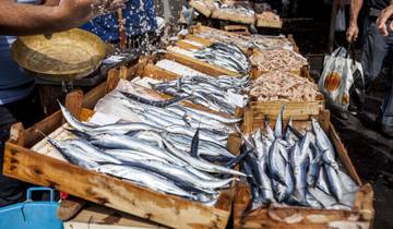 10 Days in Sicily, incl. Palermo and Catania