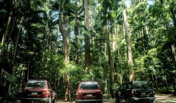 15 Days in East Coast Australia, incl. Byron Bay and Cairns