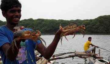 5 jours de visites et de plage à Negombo