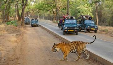 Indien: Delhi, Agra, Jaipur mit Ranthambore und Taj Mahal 7 Tage Rundreise