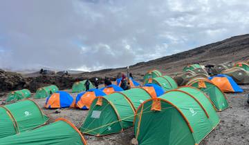 Kilimanjaro Besteigung über die Lemosho Route - 10 Tage