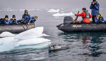Best of Antarctica: Wildlife Explorer (Ocean Endeavour) Tour