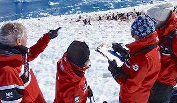 Le meilleur de l'Antarctique : L'explorateur de la vie sauvage (4 destinations)