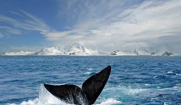 Circuito Lo mejor de la Antártida: El viaje de las ballenas