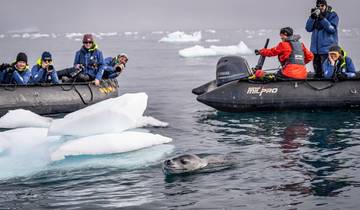 Das Beste aus der Antarktis: Reise zu den Walen (Ocean Endeavour)