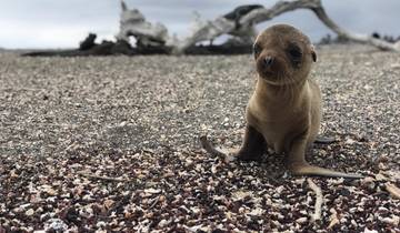 17-Day Hidden Treasure Ecuador & Galapagos