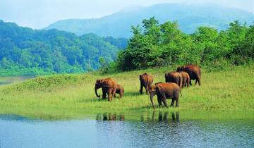 Verbazingwekkende reis Kerala-rondreis