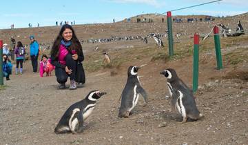 Circuito Paine, glaciares y pingüinos