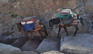 Die schönsten Wanderungen ab Marrakesch