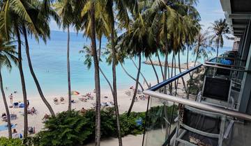 Maldives Group Tour! Whale Sharks, Manta Ray, Shipwreck & Resort Visit