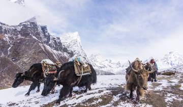 Langtang Valley Trek Tour