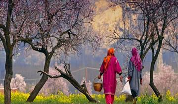 7 Days in Kashmir, incl. Srinagar and Gulmarg