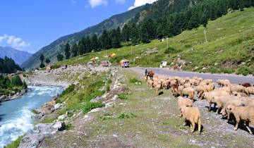7 Days in Kashmir, incl. Srinagar and Gulmarg