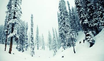 7 Days in Kashmir, incl. Srinagar and Gulmarg