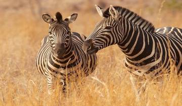 RUAHA NATIONAL PARK Tour