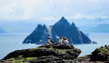 Circuito de 7 días de Irlanda a la isla en grupo reducido