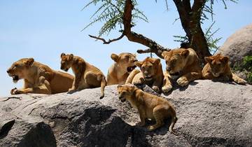 3 Days Tanzania lodge safari Tour