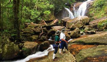 Overnight Rain Forest Adventure in Sinharaja with Return Transfers Tour