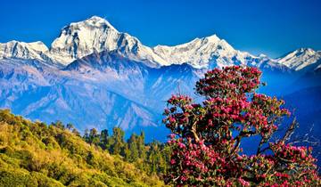 Wonderful Nepal Tour Tour