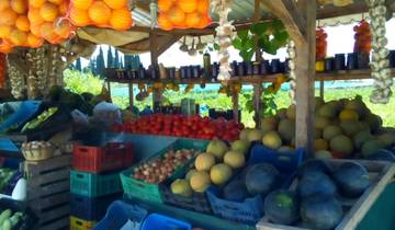 7 Days in Peloponnese Cycling, incl. Kalamata and Pylos