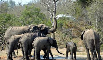 South Africa