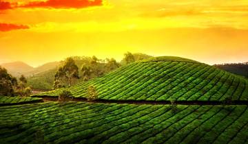 7 Day Kerala Itinerary, incl. Cochin and Alleppey