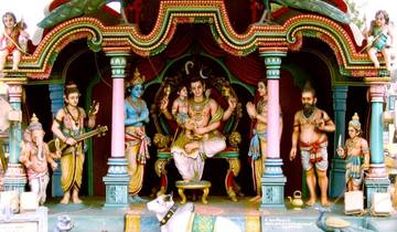 7 Day Kerala Itinerary, incl. Cochin and Alleppey