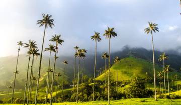 Private Service I Journey Through Colombia's Highlights: Bogotá, The Coffee Region, Medellín & Cartagena — Domestic Flights Included