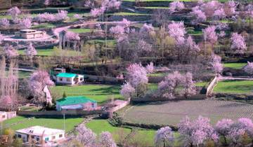 10 Days Hunza Valley Cherry Blossom Tour Pakistan Tour