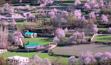 10 Days Hunza Valley Cherry Blossom Tour Pakistan