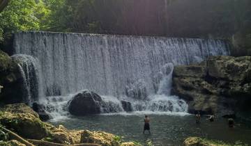 Puerto Rico Coffee tour and waterfall experience Tour