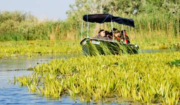 Danube Delta Birding Tour Tour
