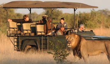 Chobe National Park Camping Safari From Victoria Falls (3 Days and 2 Nights)