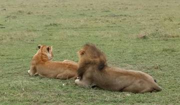 3 Days Safari in Masai Mara Tour