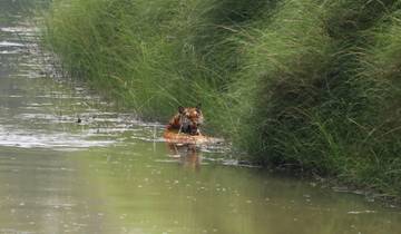 Bardia National Park Jungle safari tour - 3 Nights / 4 Days