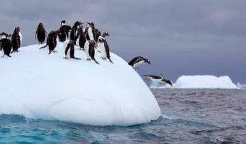 South Georgia and Antarctic Peninsula: Penguin Safari, Operated by Quark Tour