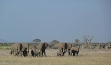 Safari de caza de lujo en Amboseli - 3 días