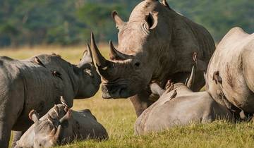 Soweto to Pretoria & Pilanesberg Big 5 Game Drive