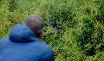 3 jours de trekking pour les gorilles en Ouganda au départ de Kigali circuit