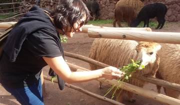 Private Full-Day Sacred Valley & Alpaca Farm Tour