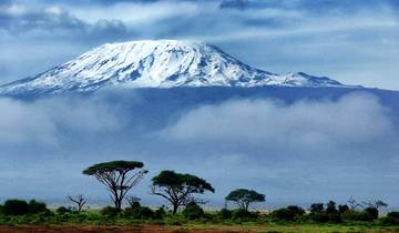 7 Days Tanzania Mount Kilimanjaro Trek using Marangu Route Tour