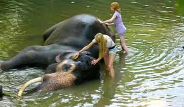 Sri Lankan Safari Excursion - 6 Days Tour