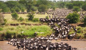Circuito Safari económico de 3 días en Kenia a Masai Mara