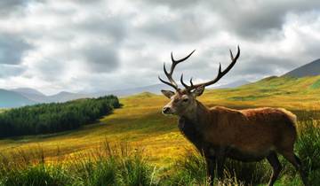 Spirit of Outlander - 16 Day Tour Tour