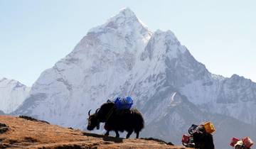 14 Days Budget Everest Base Camp Trekking Tour