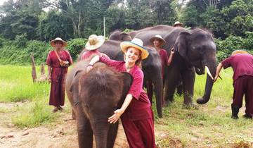 7 Days in Northern Thailand, incl. Chiang Mai and Pai