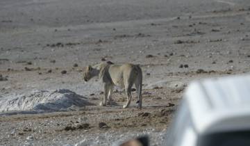 7 Day Namibia Northern Etosha Safari Tour